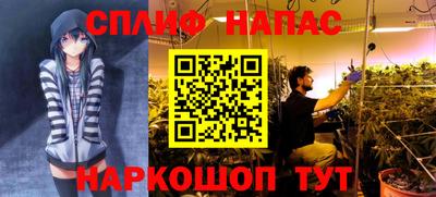 СК Заводоуковск
