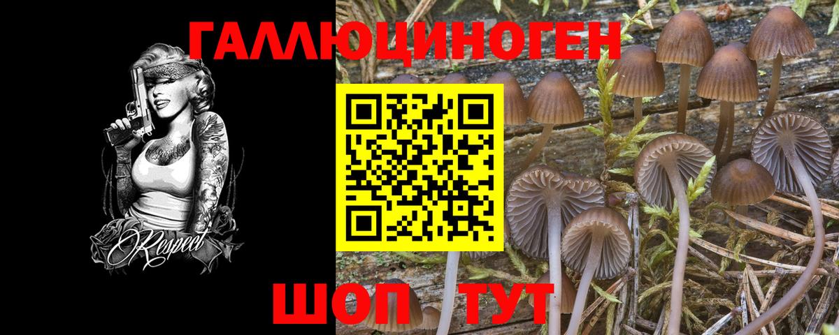 Галлюциногенные грибы ЛСД Лыткарино
