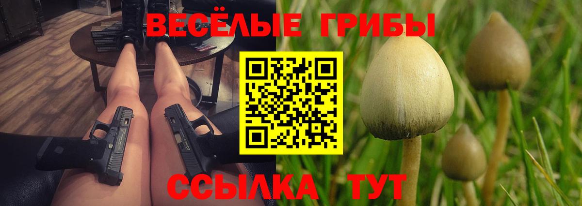 Галлюциногенные грибы Psilocybe  Галлюциногенные грибы Cubensis  Вход с VPN  Лыткарино 
